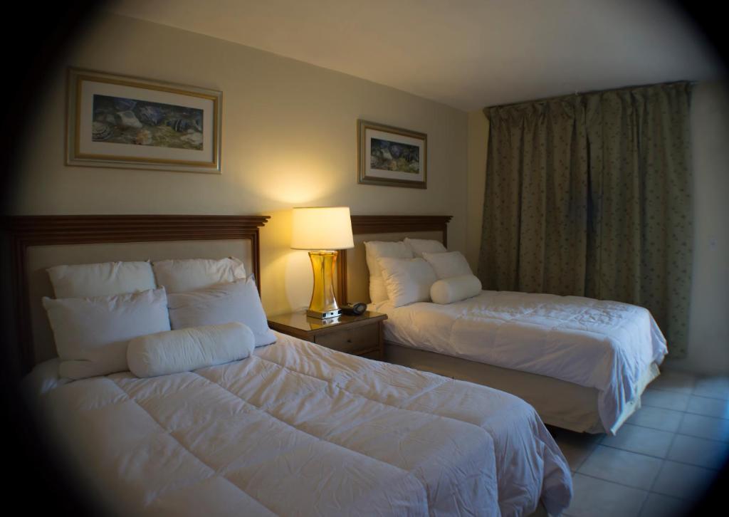 Downtown Hollywood Gardens Inn & Suites Luaran gambar